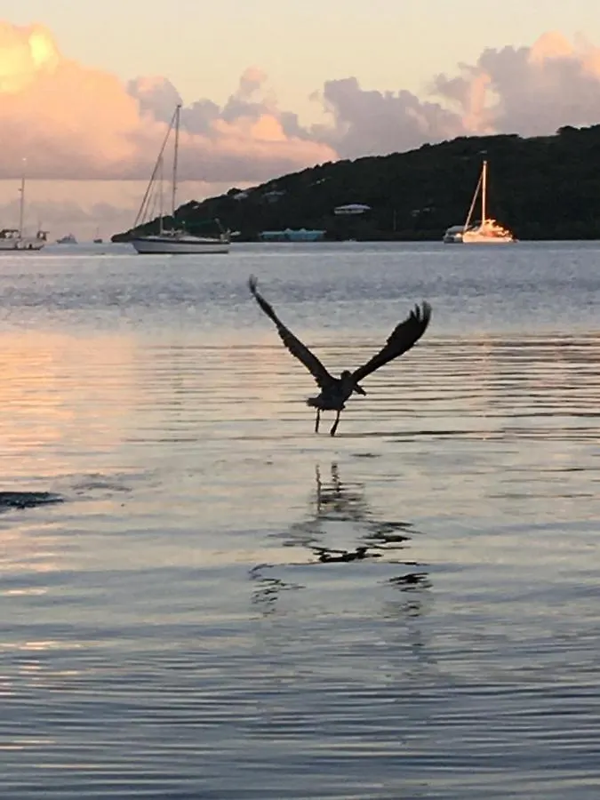 Naniqui Cottage - Only Adults -Parking Golf Car Only Isla Culebra بورتوريكو